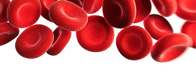 Closeup of red blood cells