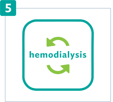 Connect the access site to the hemodialysis machine.