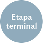 etapa terminal